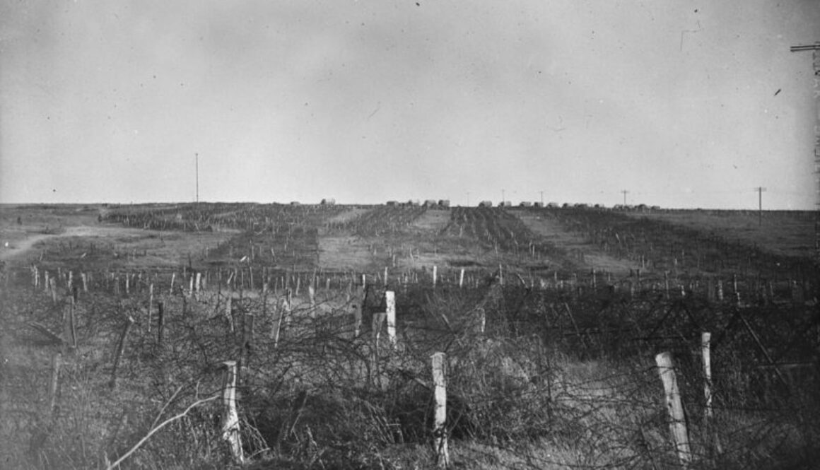 227_A portion of the Hindenburg Line, a huge mass of barbed wire. Advance East of Arras. October, 1918